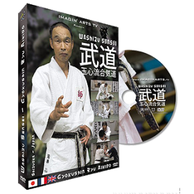 Aikido Gyokushin Ryu - Washizu sensei (DVD)