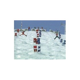 Le ski de bosses - Technique (DVD)