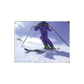 Le ski parabolique carving - Technique (DVD)