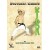 Karaté Shotokan - Kihon - HIrokazu Kanazawa (DVD)