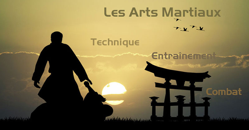 sportmultimedia-slide2